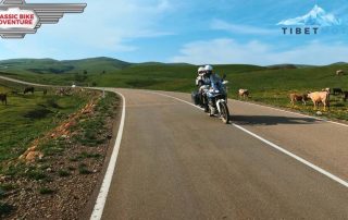 Motorradfahrer fährt um eine Kurve in Georgien Armenien