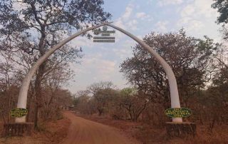 Durch ein Nationalpark in Afrika