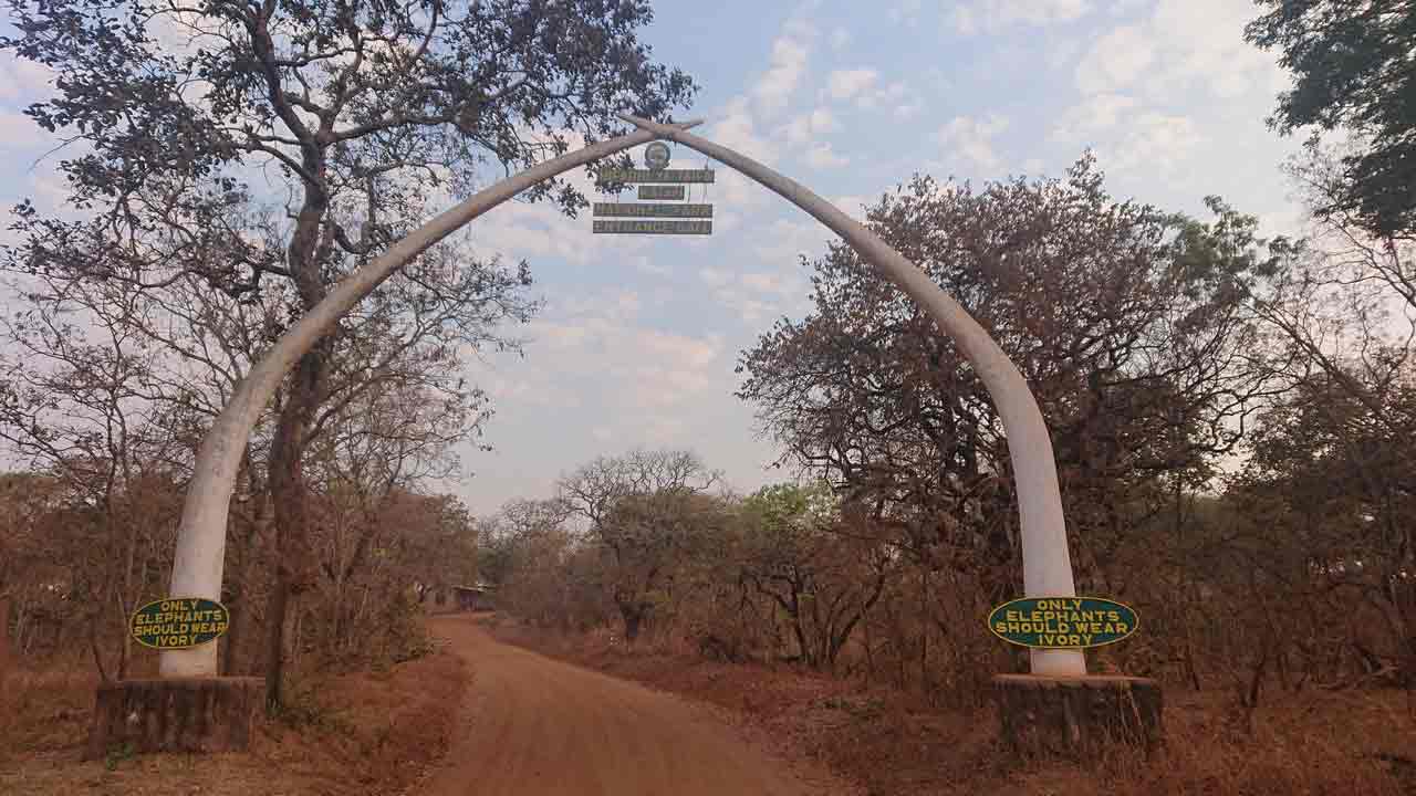 Durch ein Nationalpark in Afrika