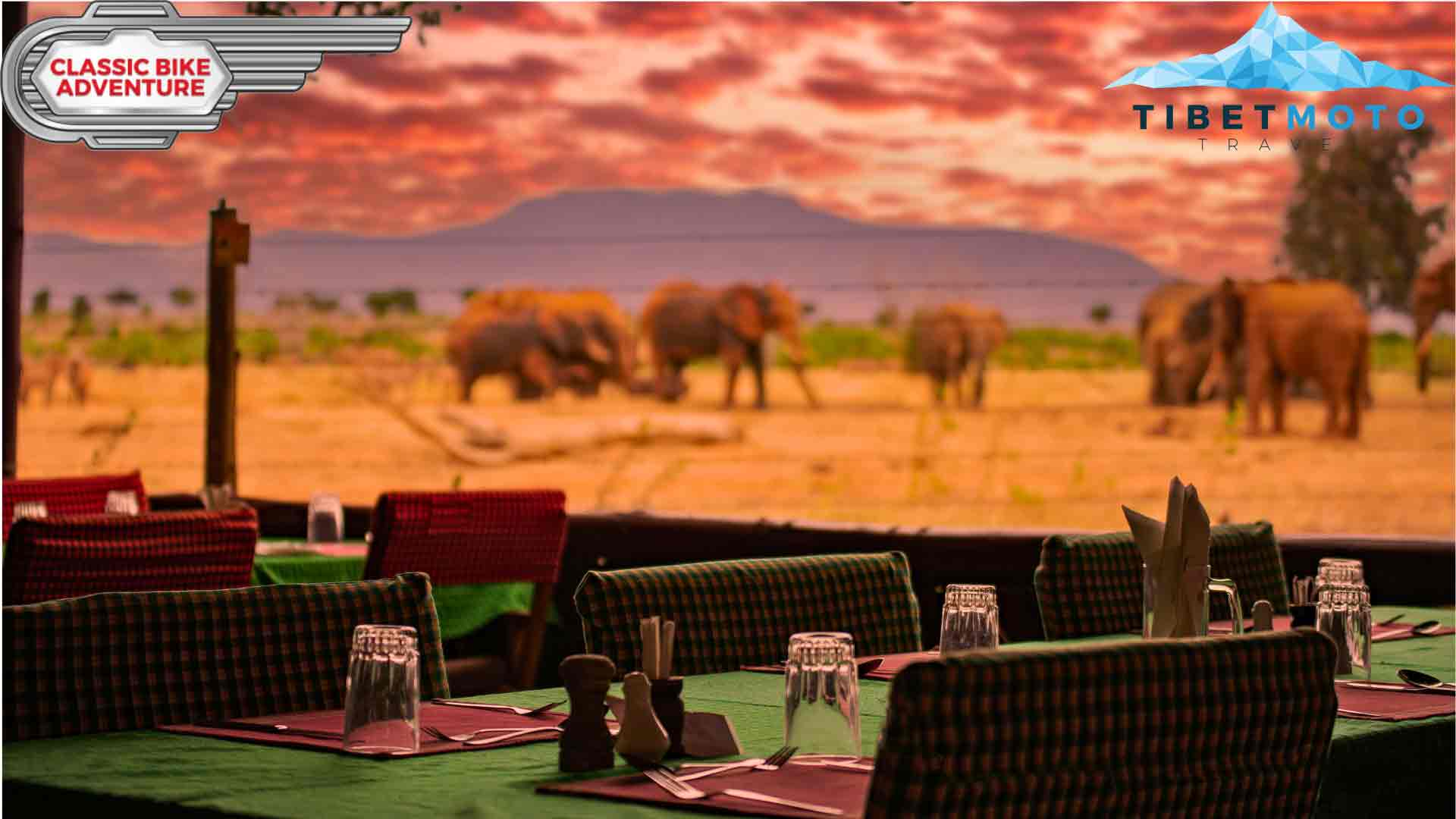 Restaurant in Afrika mit Blick auf Elephanten