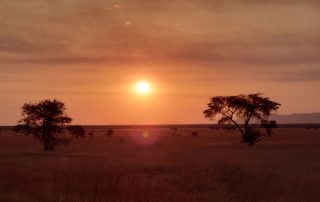 Sonnenuntergang in Afrika