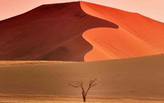 Wüste in Afrika