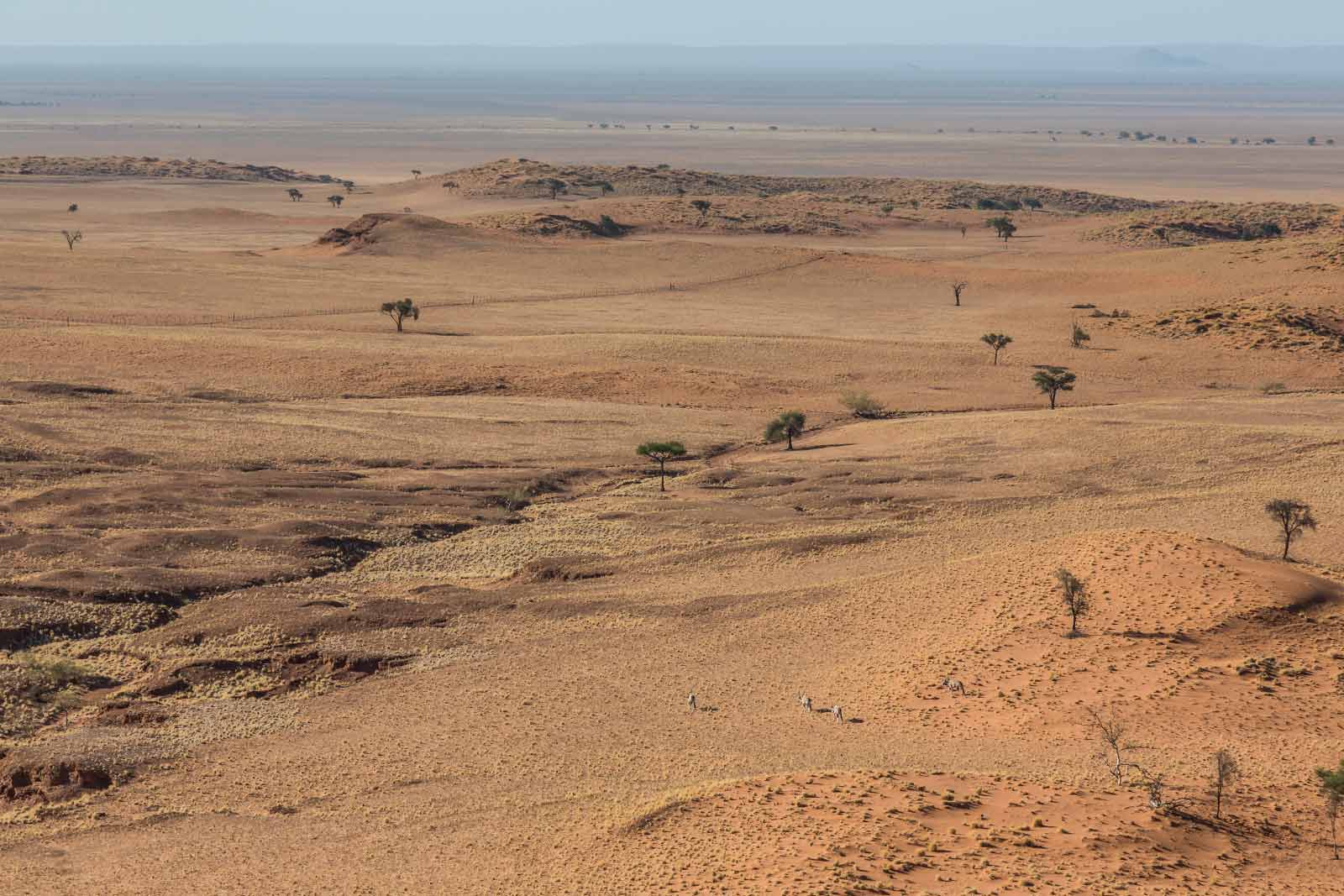 Wüste in Afrika